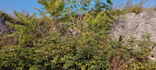 عکس قلعه باستانی صلصال لیسار