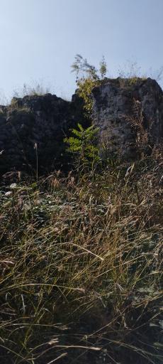 عکس قلعه باستانی صلصال لیسار