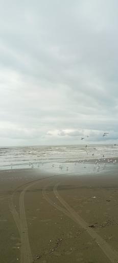 عکس ساحل کریم آباد