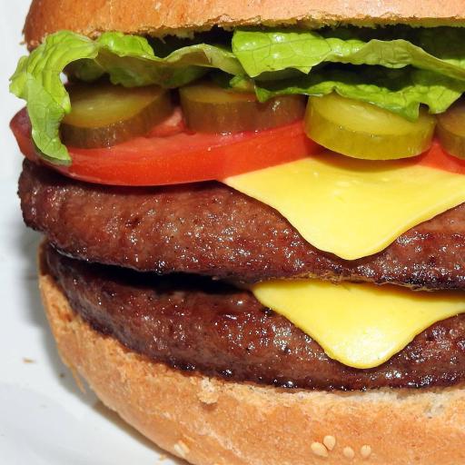 عکس پیتزا خونه شعبه 1