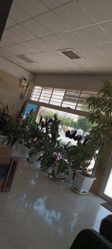 عکس املاک مدرن