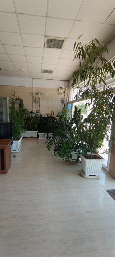 عکس املاک مدرن