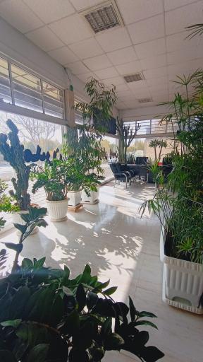 عکس املاک مدرن