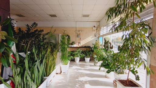 عکس املاک مدرن