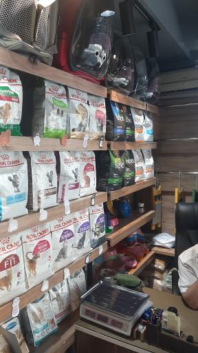 عکس پت شاپ صورتی 