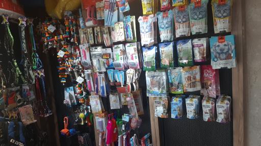 عکس پت شاپ صورتی 