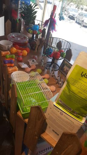 عکس پت شاپ صورتی 