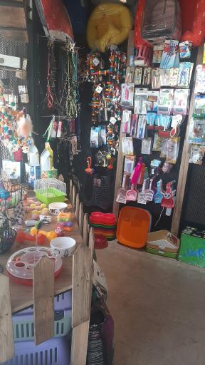 عکس پت شاپ صورتی 