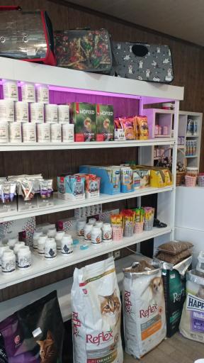 عکس پت شاپ سلنا