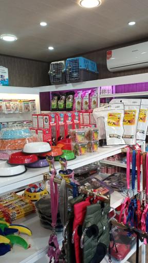 عکس پت شاپ سلنا