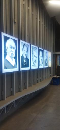 پردیس سینمایی امین تارخ