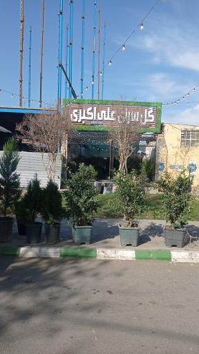 عکس گل سرای علی اکبری