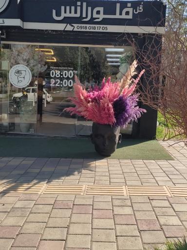 عکس گل فلورانس