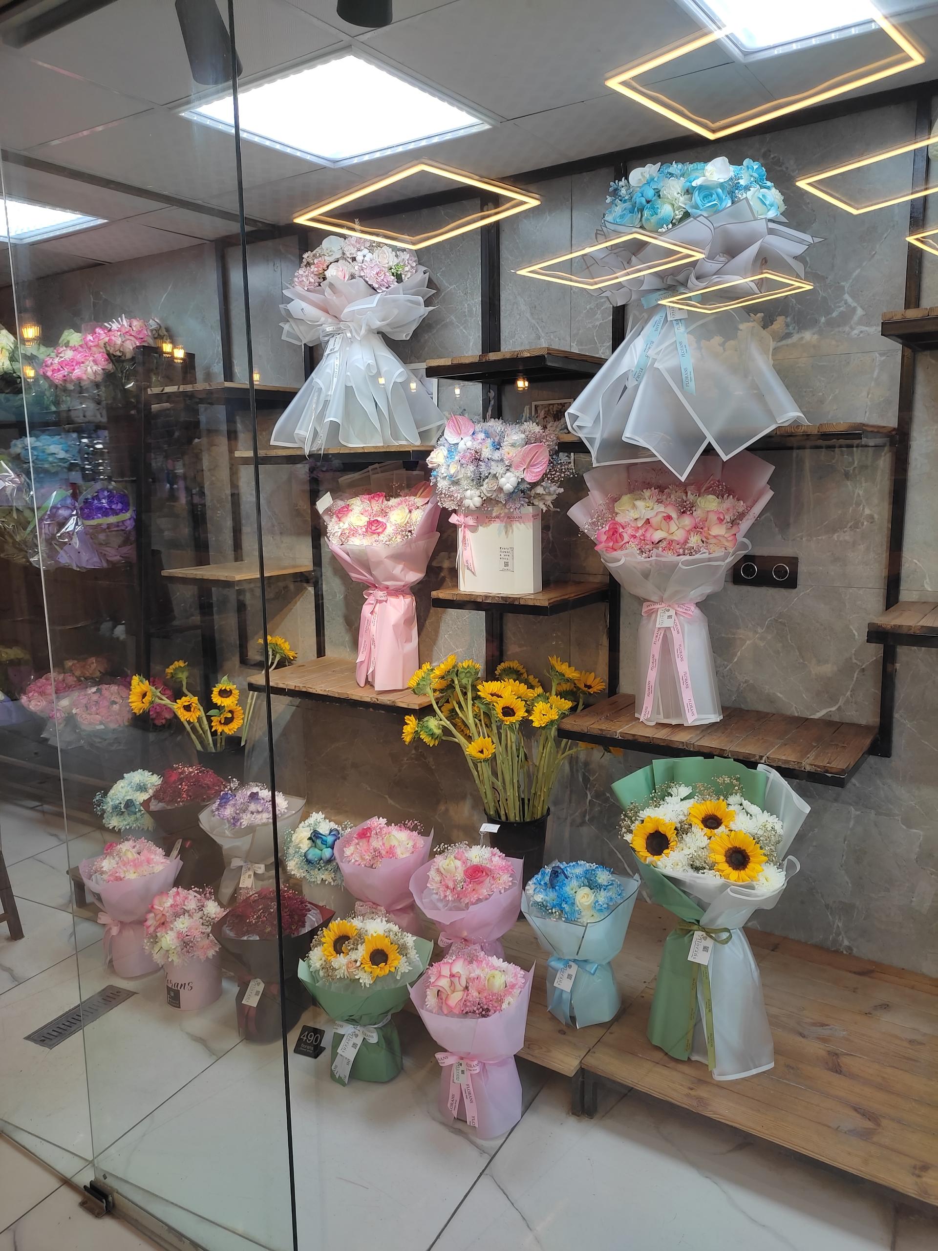 عکس گل فلورانس