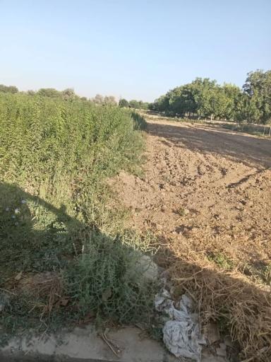 عکس نهال فروشی حسین جهانبخش