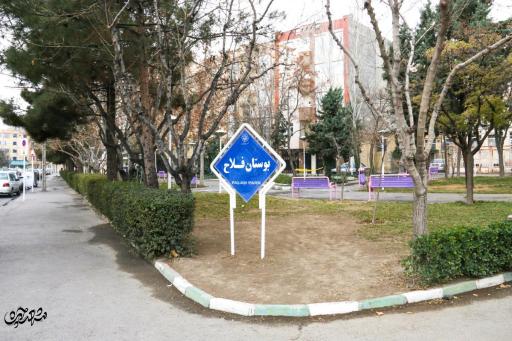 عکس فضای سبز