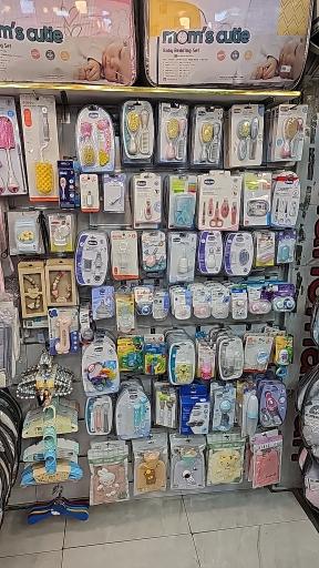 عکس سیسمونی دلفین 