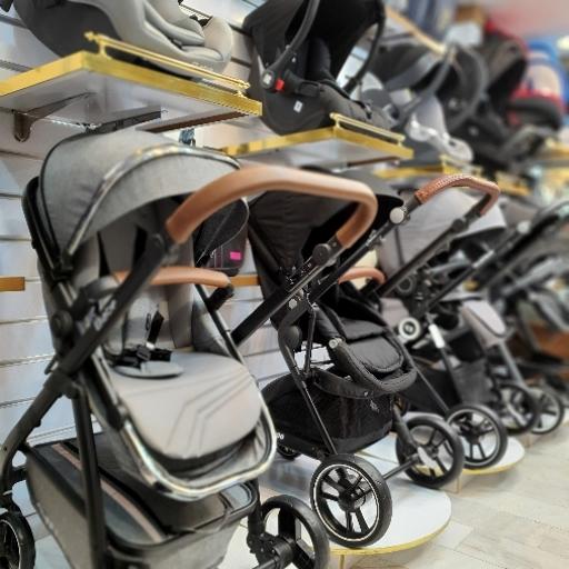 عکس سیسمونی دلفین 