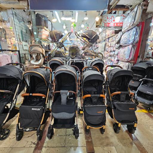 عکس سیسمونی دلفین 