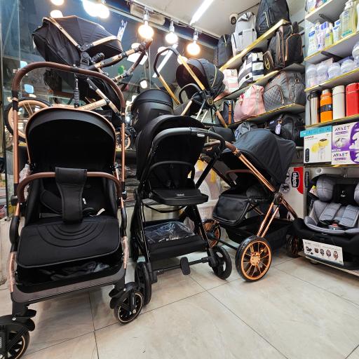 عکس سیسمونی دلفین 