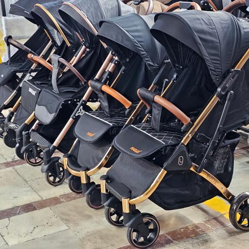 عکس سیسمونی دلفین 