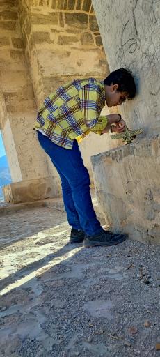 عکس چارتاقی زیگورات (آتشکده نیاسر)