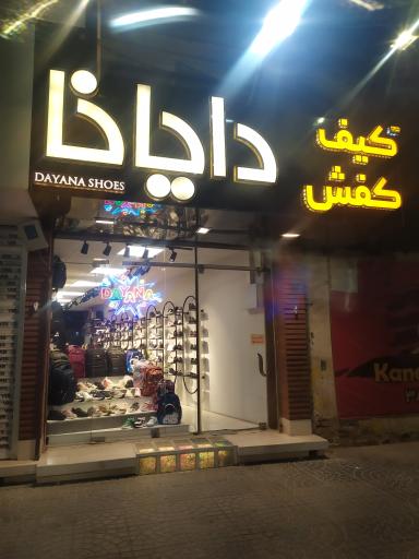 عکس کیف و کفش دایانا