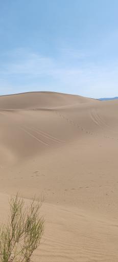 عکس بومگردی ناصریه