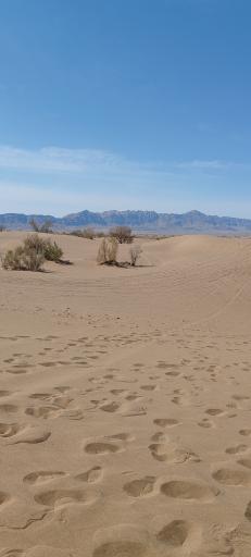 عکس بومگردی ناصریه