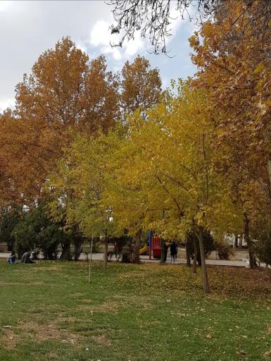 عکس فضای سبز بوستان امام