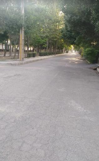 عکس فضای سبز بوستان امام