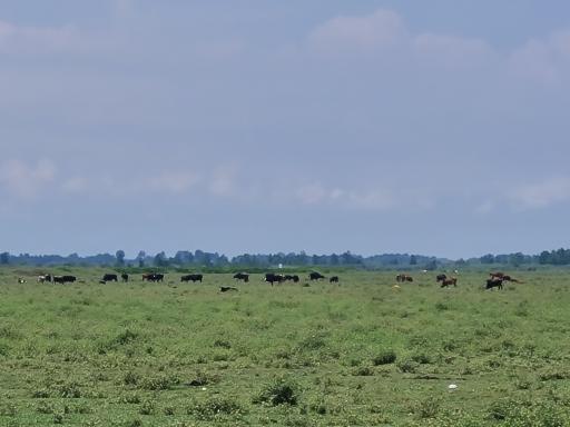 عکس مرکز اکوتوریستی روستای جیرسرباقرخاله