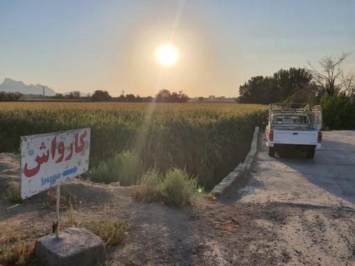 عکس کارواش اسپادانا
