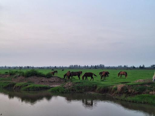 عکس مرکز اکوتوریستی روستای جیرسرباقرخاله