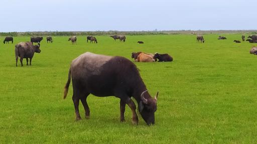 عکس مرکز اکوتوریستی روستای جیرسرباقرخاله