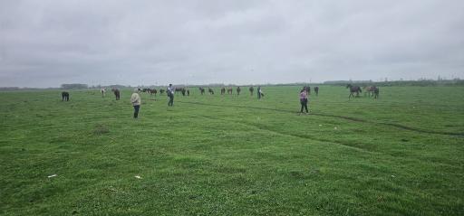 عکس مرکز اکوتوریستی روستای جیرسرباقرخاله