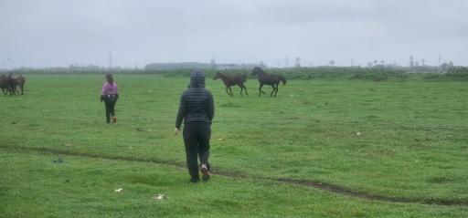 عکس مرکز اکوتوریستی روستای جیرسرباقرخاله