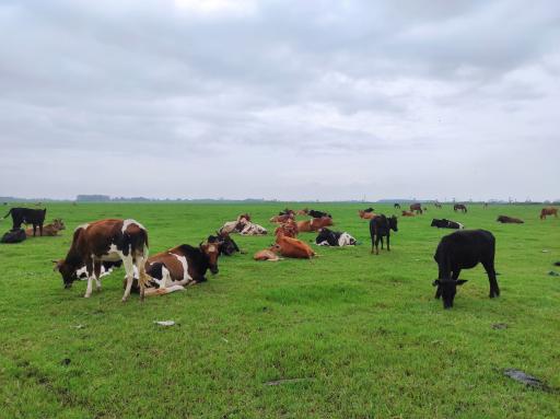عکس مرکز اکوتوریستی روستای جیرسرباقرخاله