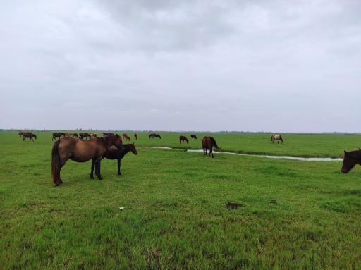 عکس مرکز اکوتوریستی روستای جیرسرباقرخاله