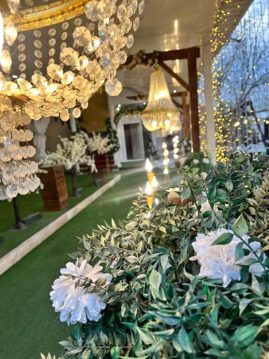 عکس باغ تالار عروسی آناهیتا