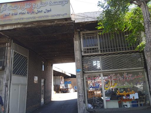 عکس باربری دشت گرگان