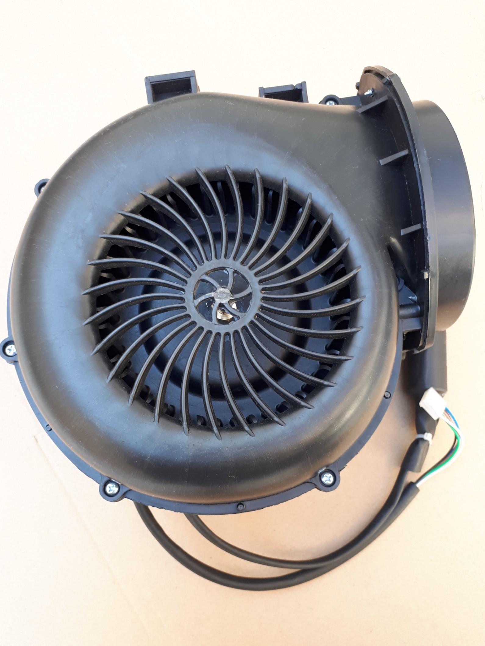 عکس آوا کالا