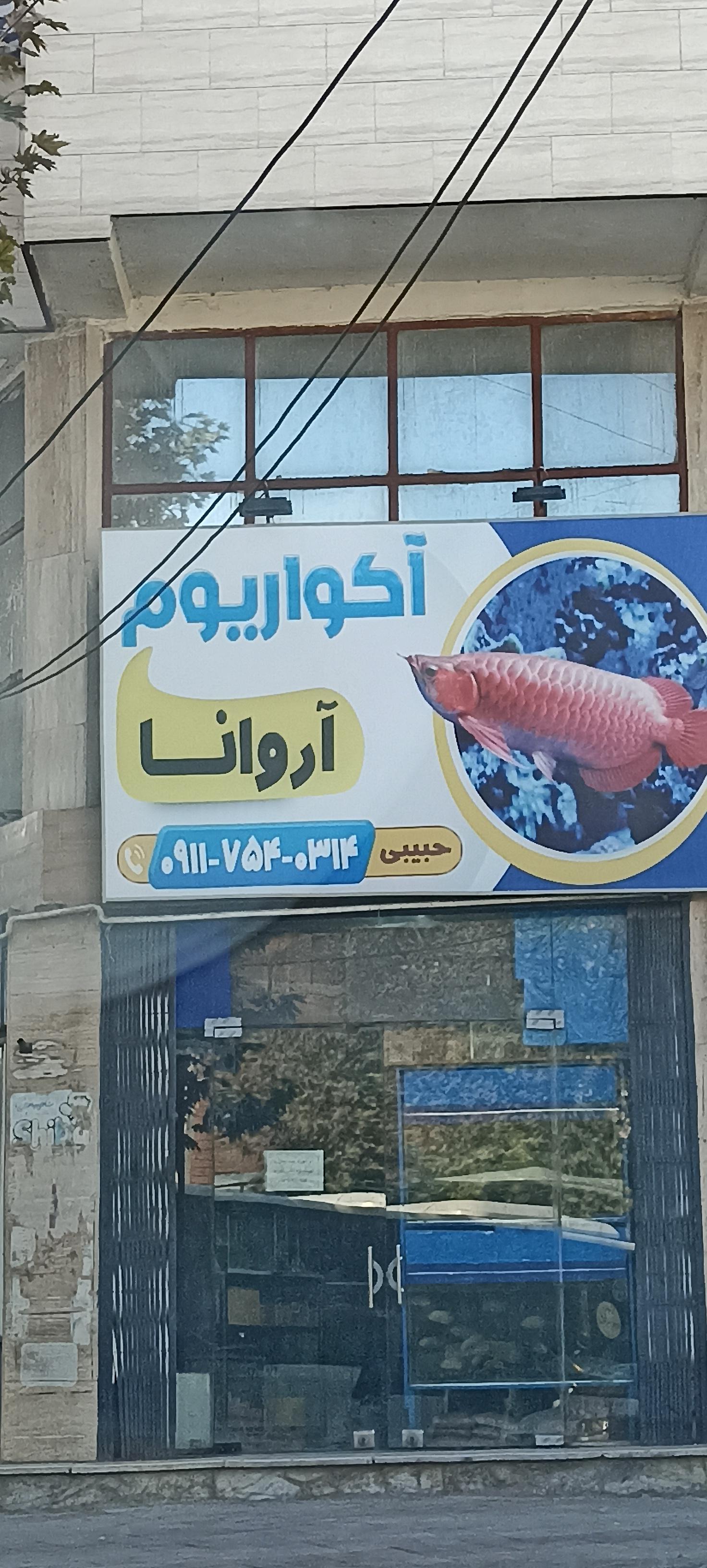 عکس آکواریوم آروانا