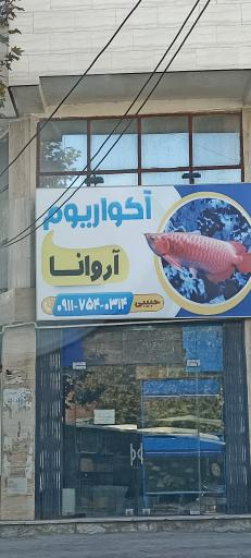 عکس آکواریوم آروانا