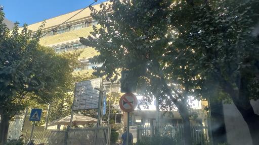 عکس بیمارستان جم