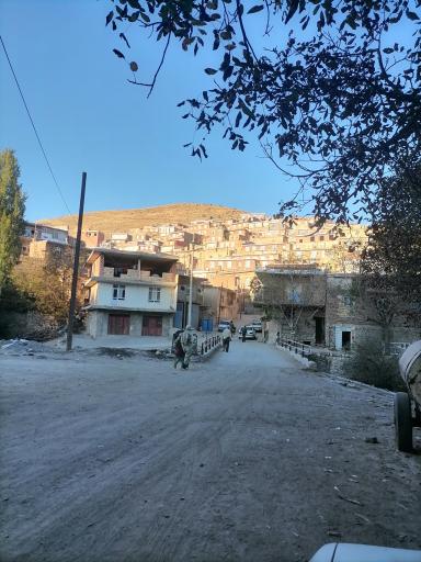 عکس مجارشین