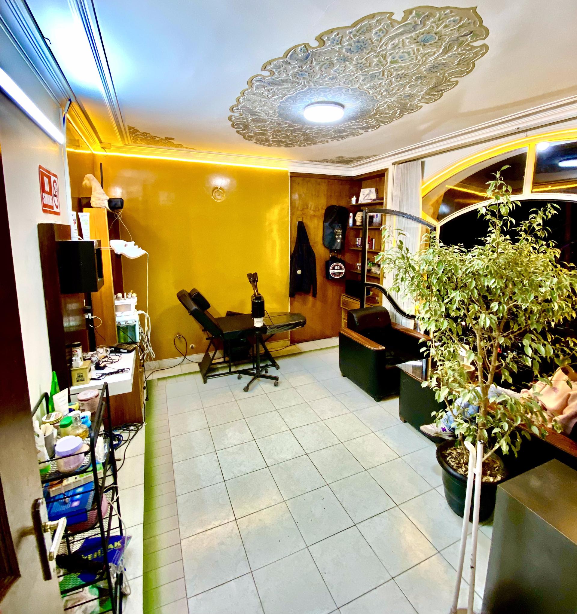 عکس پیرایش پاشامو