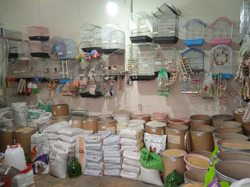 عکس دان فروشی سون پت شو