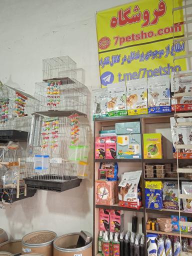 عکس دان فروشی سون پت شو