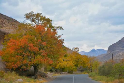 عکس شهر بابک